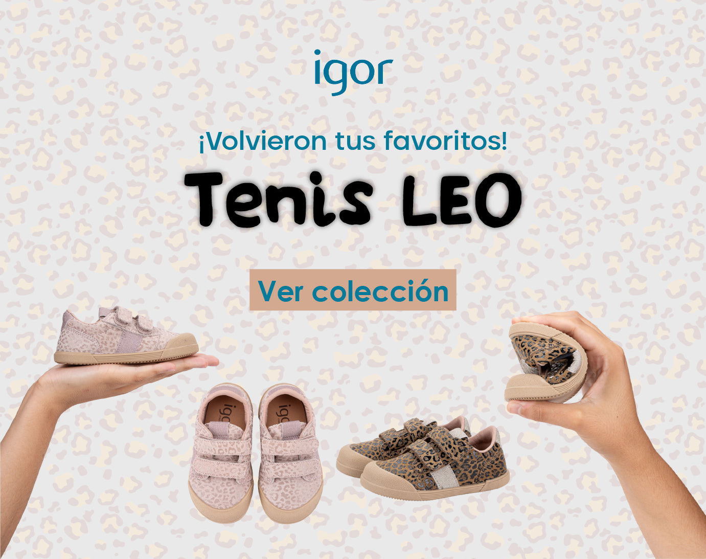 Imagen de diapositiva