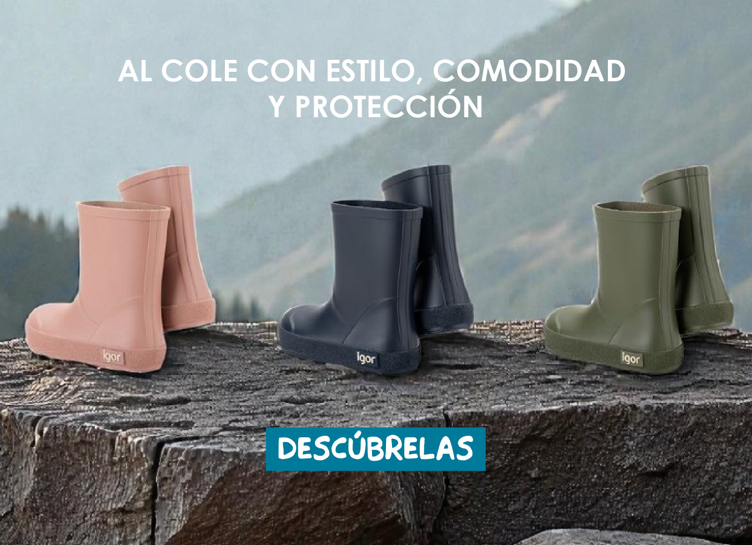 Imagen de diapositiva