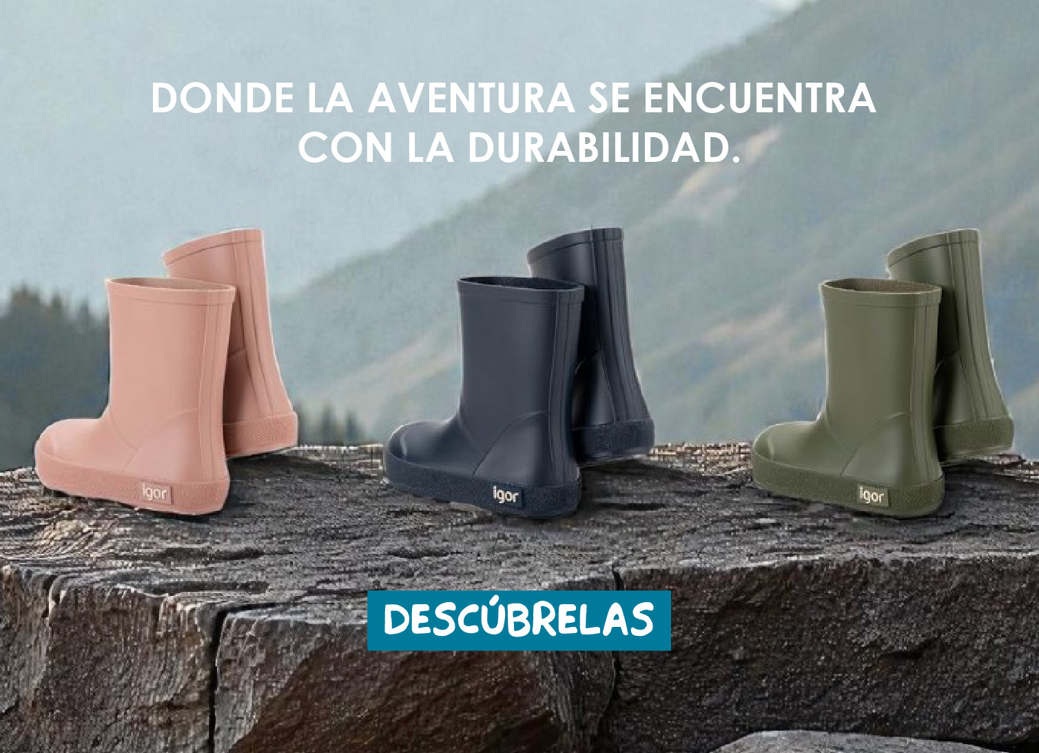 Imagen de diapositiva