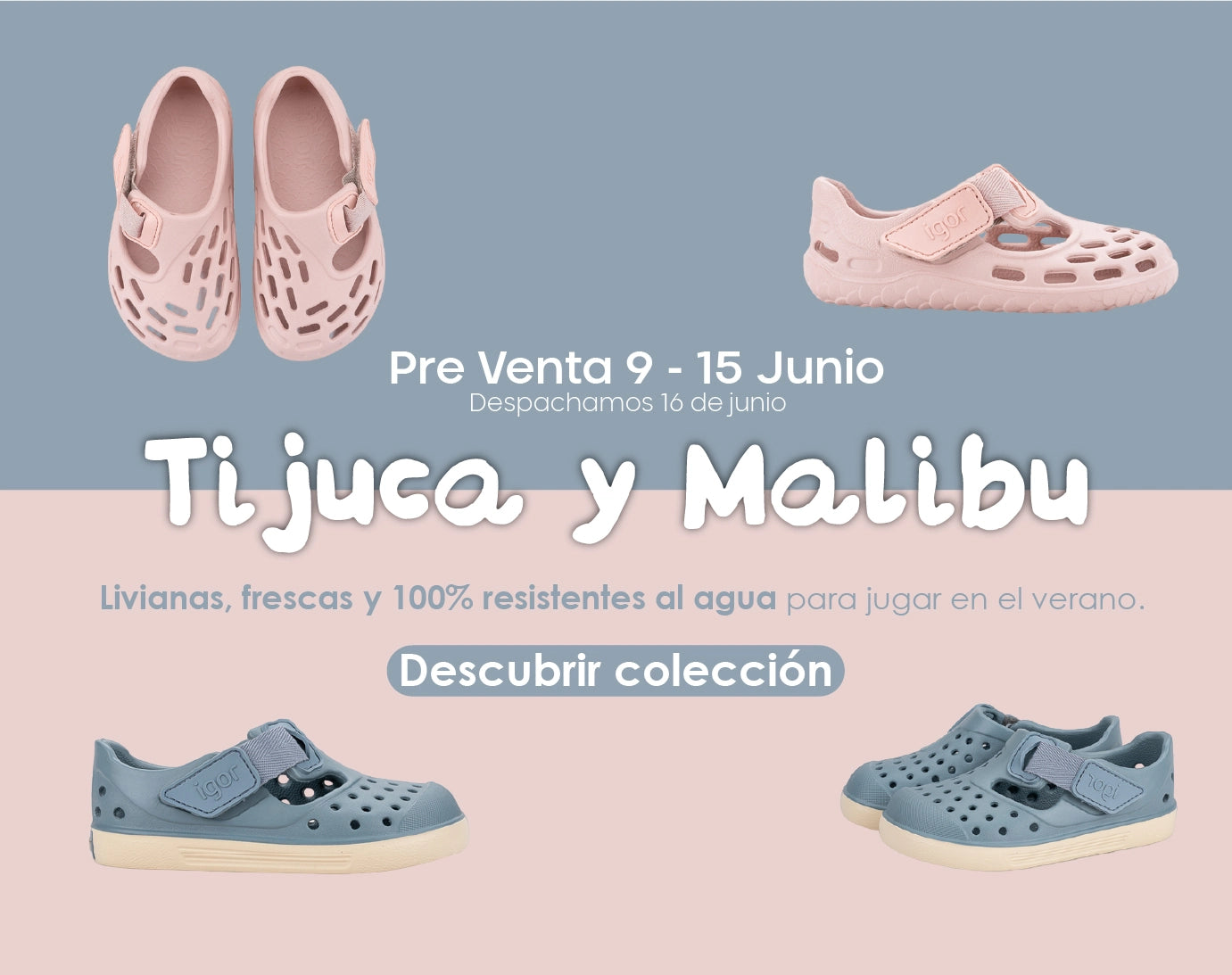 Imagen de diapositiva