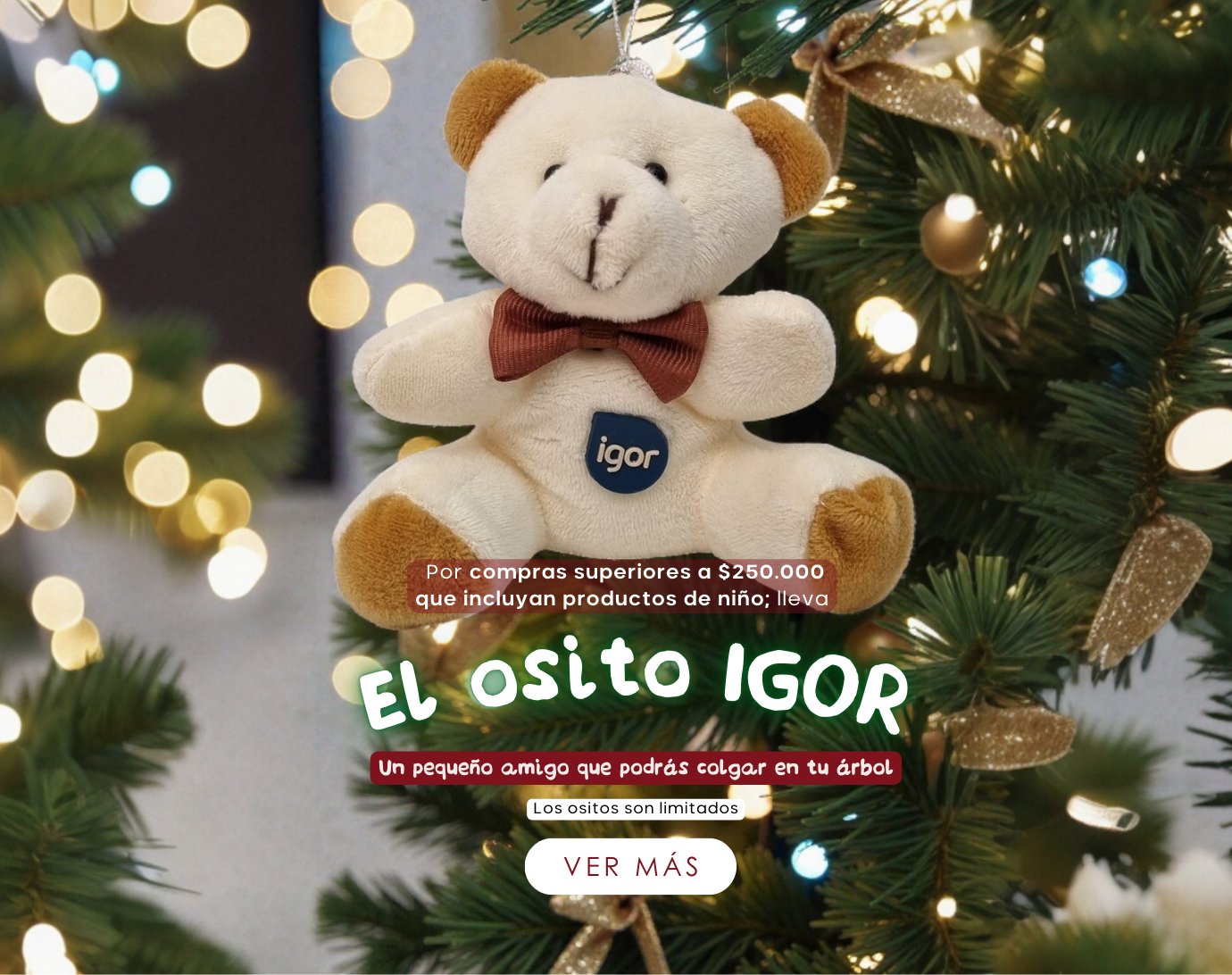 Imagen de diapositiva