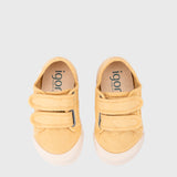 Tenis Lonas V DIjon S10333