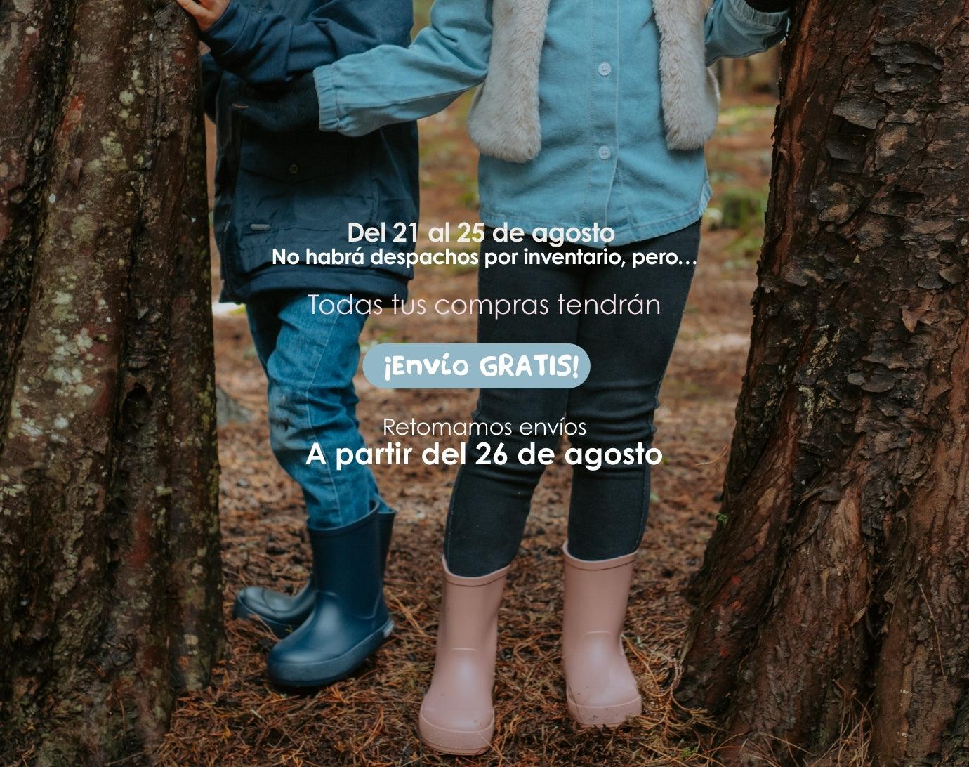 Imagen de diapositiva